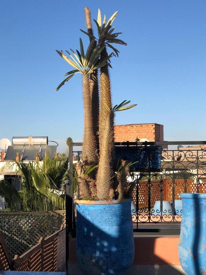 Riad Rose Eternelle Marakéš Exteriér fotografie